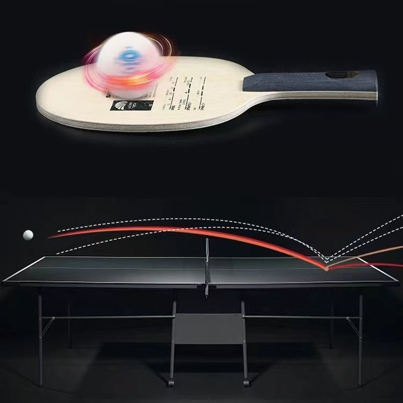 Sanwei-Tバックブレードt5000,5つの木製ハンドル - Table Tennis Eleven のレビューと価格